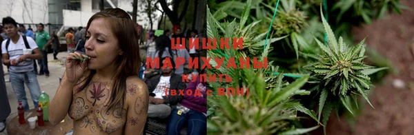 прущие грибы Баксан