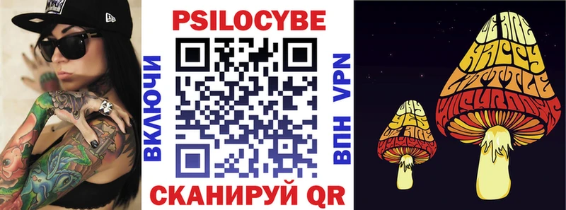 Галлюциногенные грибы Psilocybine cubensis  Александровское 
