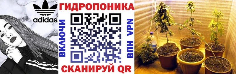 omg ссылки  где купить   Александровское  МАРИХУАНА AK-47 